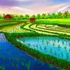 Rice Field paint by number