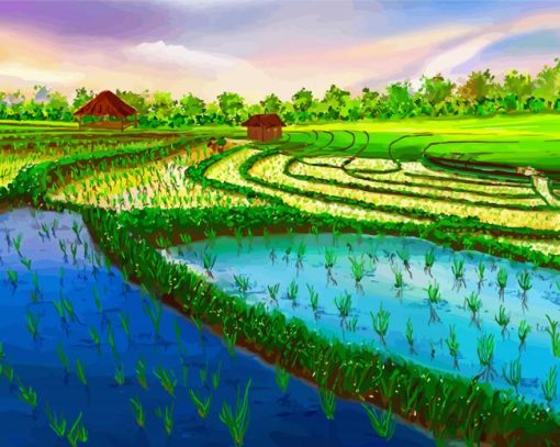 Rice Field paint by number