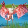 Roseau Spoonbill Bird paint by number
