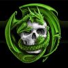 Skull And Green Dragon paint by number
