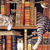 Sleeping Cat With Book paint by number