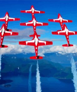 Snowbirds Air Show paint by number