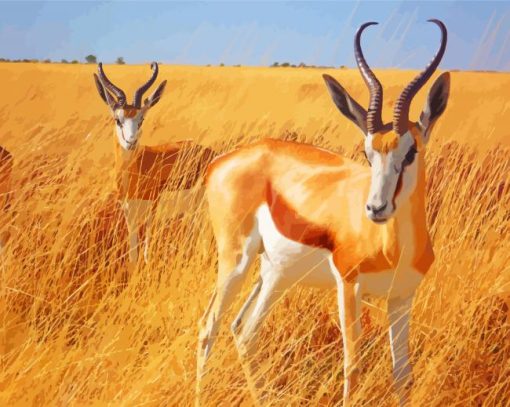 South African Springbok paint by number
