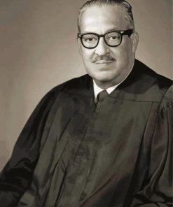 Thurgood Marshall American Lawyer paint by number