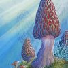 True Morel Art Paint by number