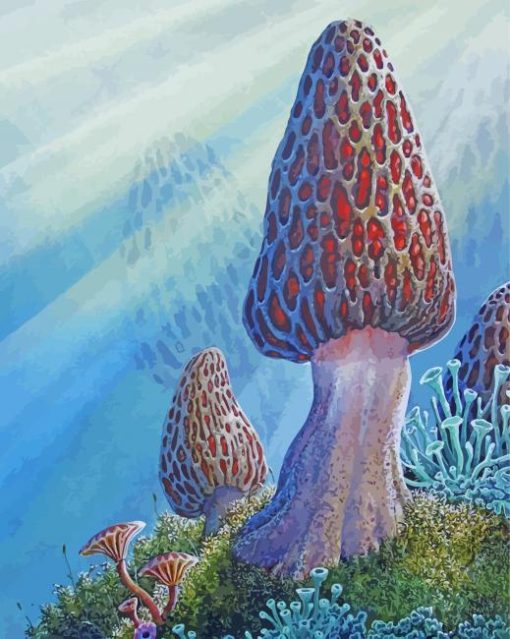 True Morel Art Paint by number