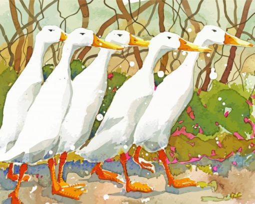 White Indian Runner Duck paint by number