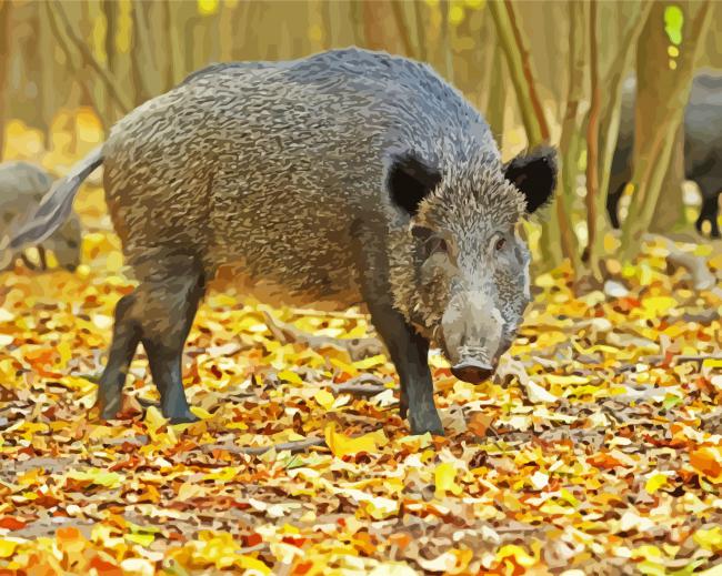 Wild Boar paint by number