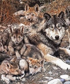 Wolf Family paint by number