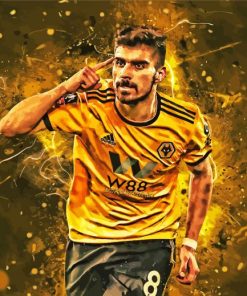 Wolverhampton Wanderers Player paint by number