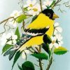 Yellow Finch And Flowers paint by number
