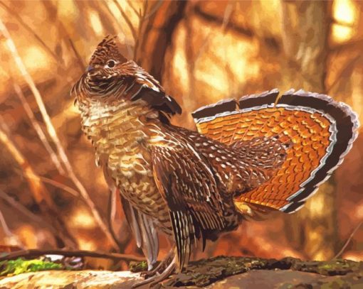 Aesthetic Ruffed Grouse Bird paint by number