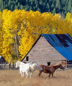 Barn And Horses Animals paint by number