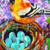 Bird Collage Art paint by number