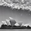 Black And White Sydney paint by number