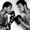 Black And White Ali And Frazier paint by number