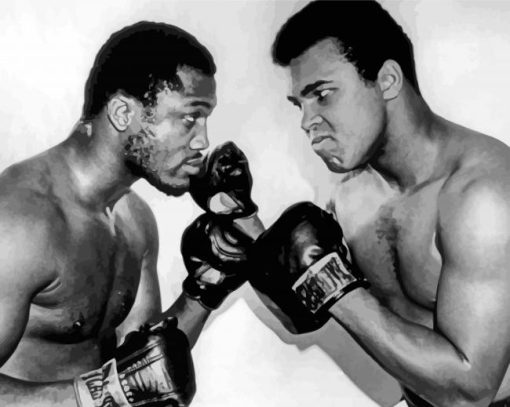 Black And White Ali And Frazier paint by number