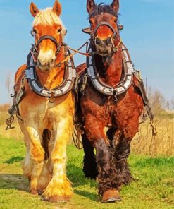 Brown And Blond Workhorses paint by number