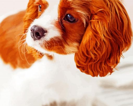 Cavalier king Charles Spaniel Puppy paint by number