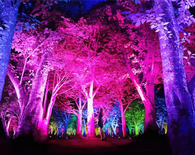 Colorful Forest Light paint by number