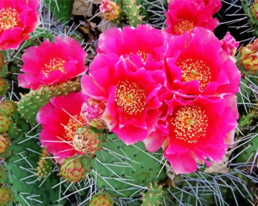 Cute Cactus With Pink Roses paint by number