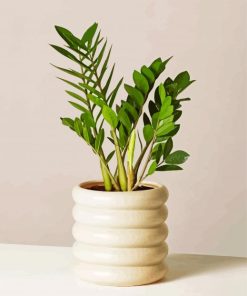 Cute Minimalist Plant paint by number