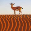 Deer In Desert Animal paint by number