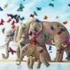 Elephant And Butterfly Art paint by number
