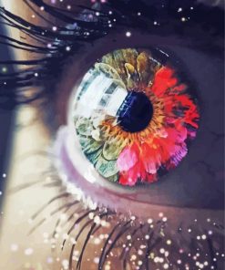 Fantasy Eye Flower paint by number