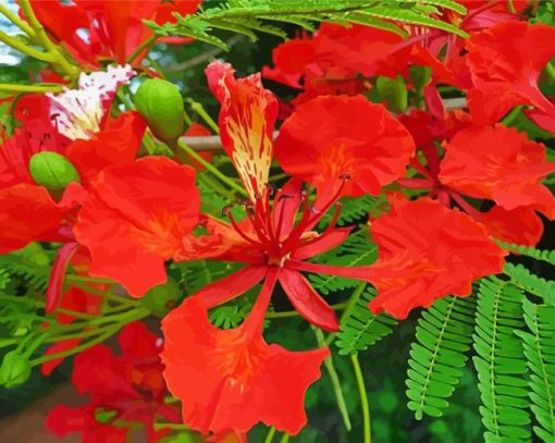 Flame Tree Flowers paint by number