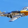 Flying Aircraft Mustang P51 paint by number