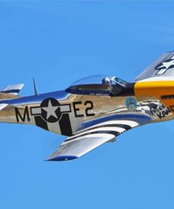 Flying Aircraft Mustang P51 paint by number