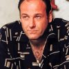 The Actor James Gandolfini paint by number