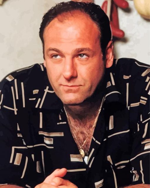 The Actor James Gandolfini paint by number