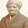 The American Harriet Tubman paint by number