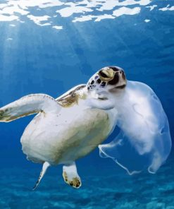 Turtle Holding Jellyfish With Its Mouth paint by number