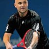 American Andre Agassi paint by number