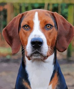 American Foxhound paint by number