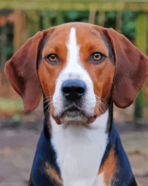 American Foxhound paint by number