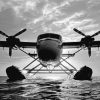 Black And White Twin Otter Aircraft paint by number