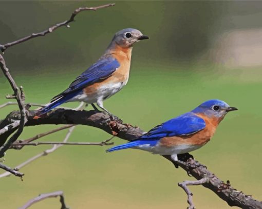 Blue Birds On A Branch Paint by number