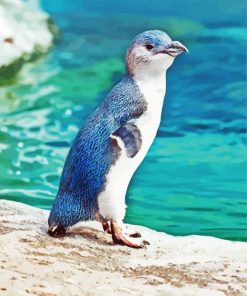 Blue Fairy Penguin paint by number