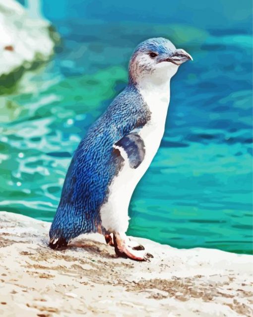 Blue Fairy Penguin paint by number