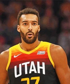 Cool Rudy Gobert paint by number