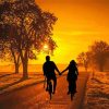 Couple On Bicycles Sunset Silhouette paint by number