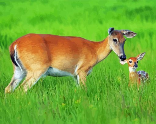 Deer And Cubs In Grass paint by number