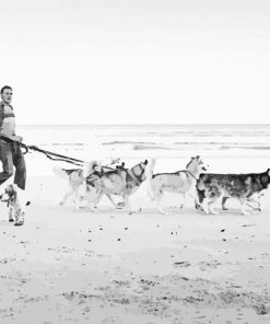 Dogs On Beach Black And White paint by number