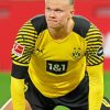 Erling Haaland Borussia Dortmund BVB Player paint by number