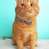 Ginger Cat In Bow Tie paint by number