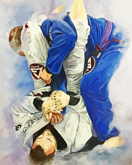 Jiu Jitsu Fighting Sport paint by number